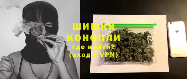 индика Щигры
