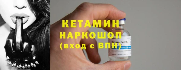 индика Щигры